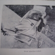 �ena Samarit�nkou (1937)